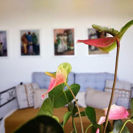 Casa Arte De Sorvilán エクステリア 写真