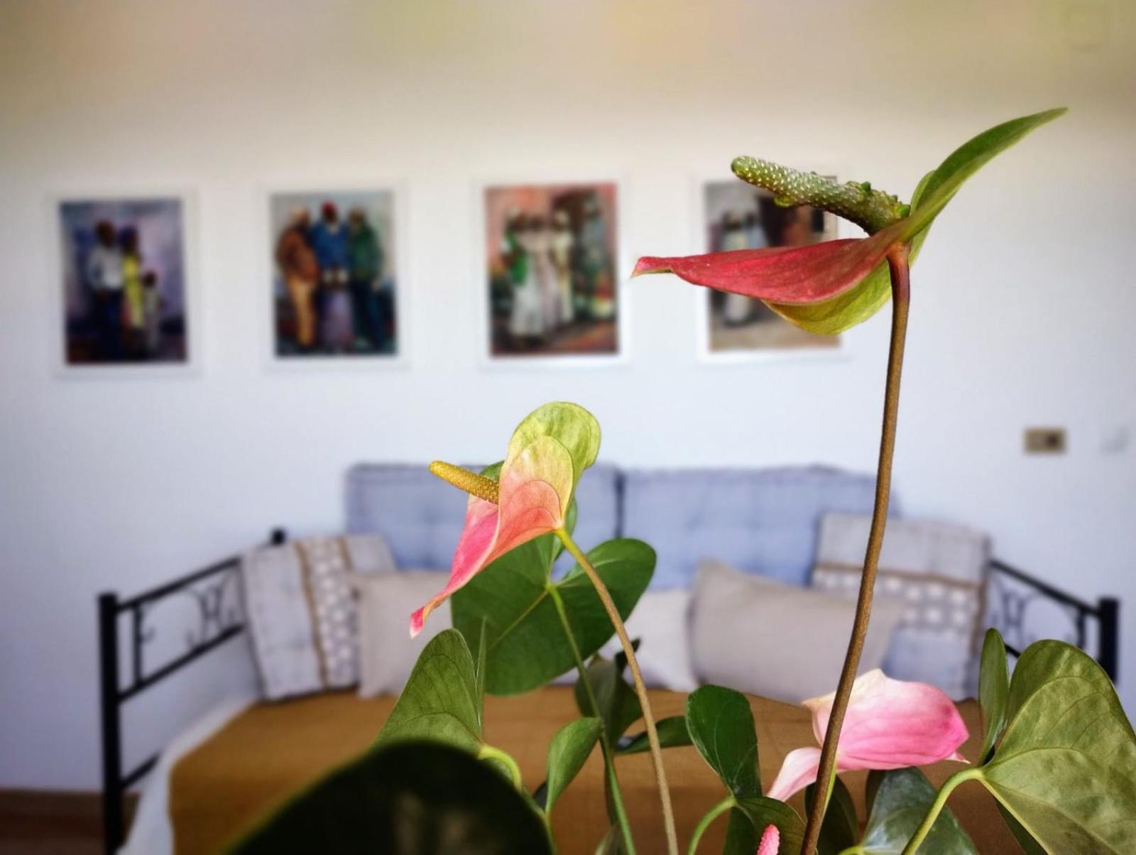 Casa Arte De Sorvilán エクステリア 写真